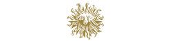 Publicis Groupe