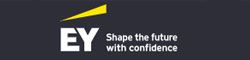  EY Consulting (EMEIA)