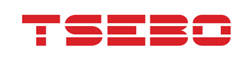 Tsebo Solutions Group