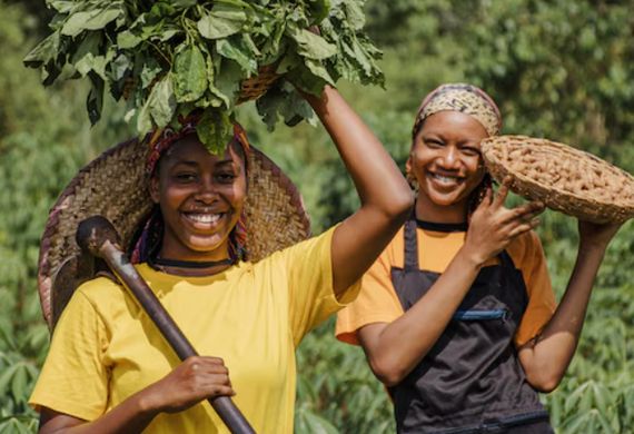 AfDB Approves $310 Million Support for MSMEs in South Africa