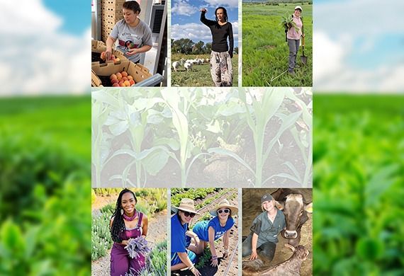 NASDA Launches International Year of the Woman Farmer