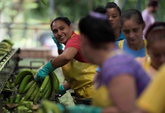  Fyffes Reports on Partnership for Good Program Supporting Women